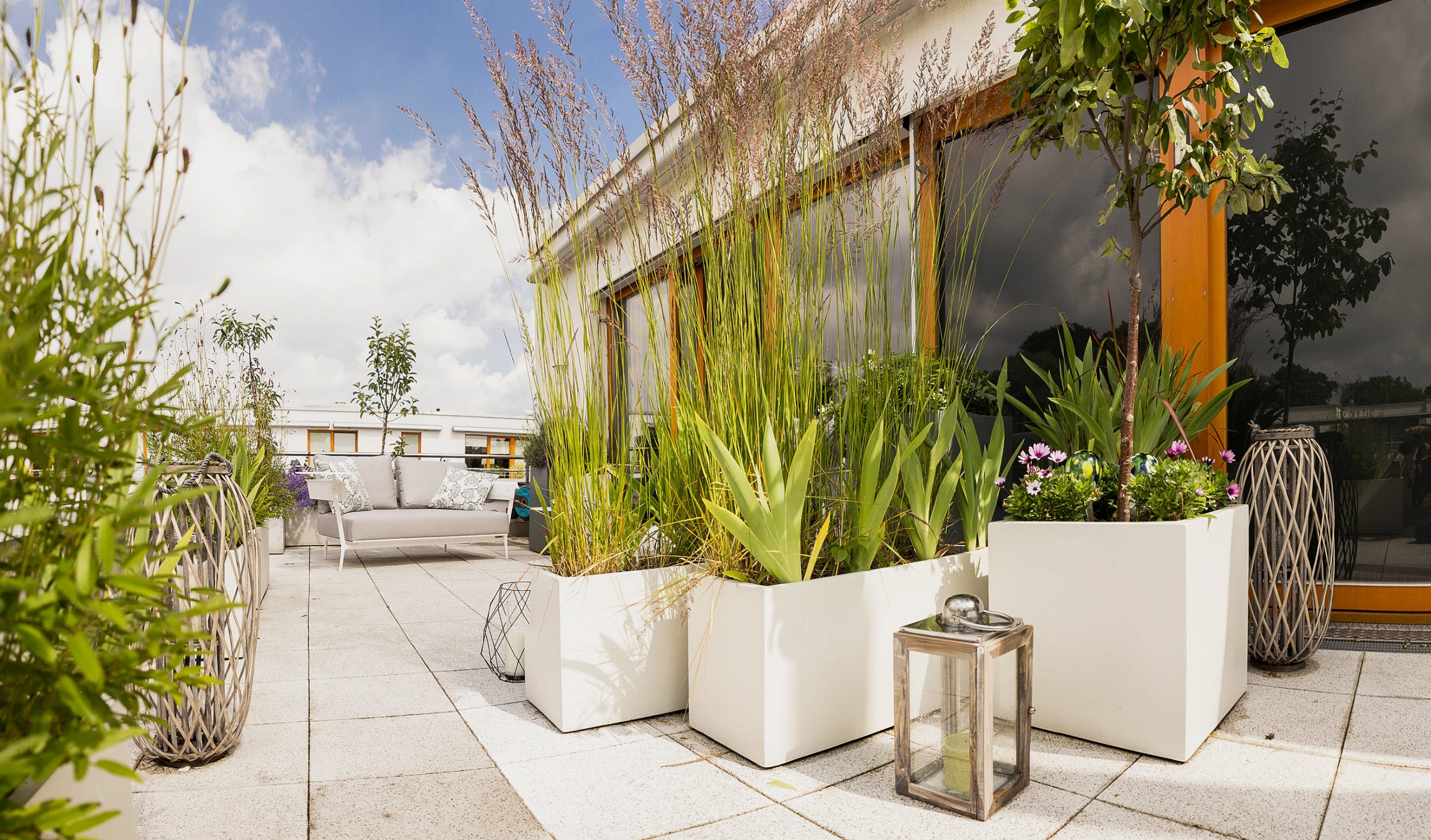 Terrasse mit moderner Bepflanzung und Natursteinbelag