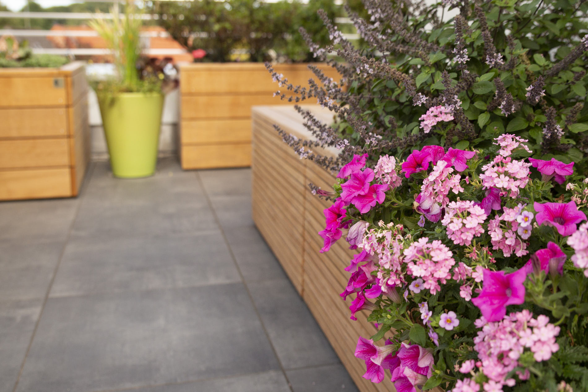 Terrasse mit moderner Bepflanzung und Natursteinbelag