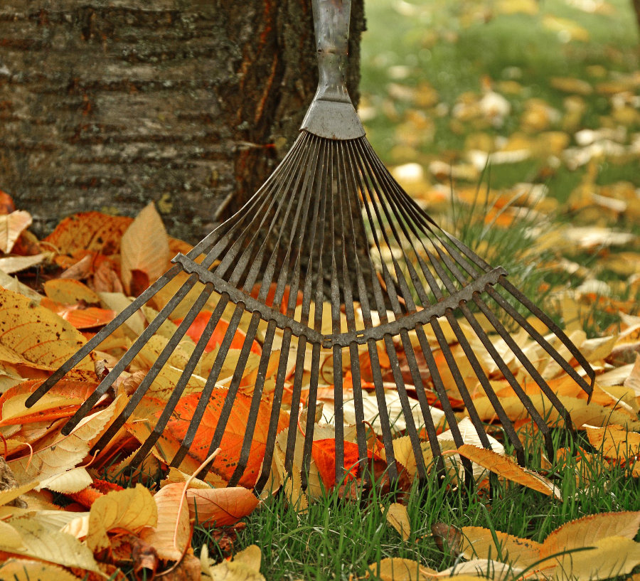 Herbstlaub im Beet – Garten winterfest machen